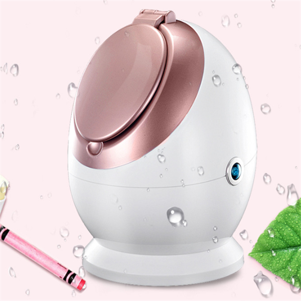Facial Steamer Gesichtssauna