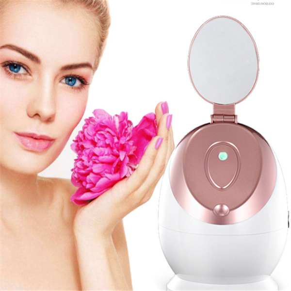 Facial Steamer Gesichtssauna
