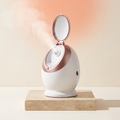 Facial Steamer Studio